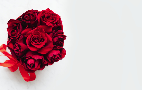 Красные розы в бантом из ленты на белом фоне