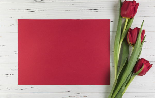 Красный лист бумаги с тюльпанами для шаблона поздравительной открытки