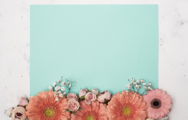 Лист голубой бумаги для фона с цветами розы и герберы