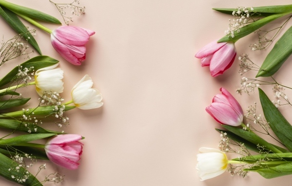 Белые и розовые тюльпаны с цветами гипсофилы на розовом фоне