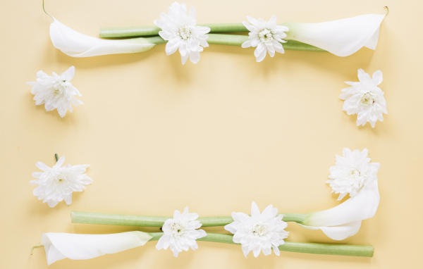 Белые каллы с хризантемами на желтом фоне