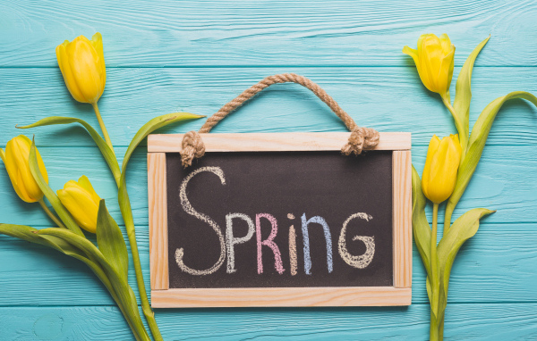 Желтых тюльпаны на голубом фоне с рамкой с надписью весна