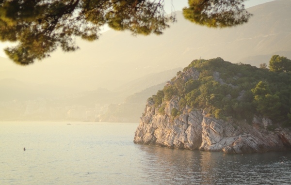 Скала покрытая зеленью на берегу океана