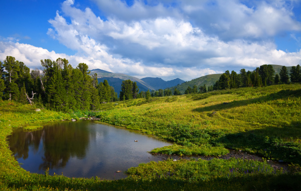 Живописная зеленая горная природа