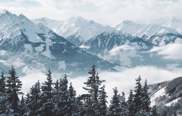 Вид на высокие заснеженные горы и лес