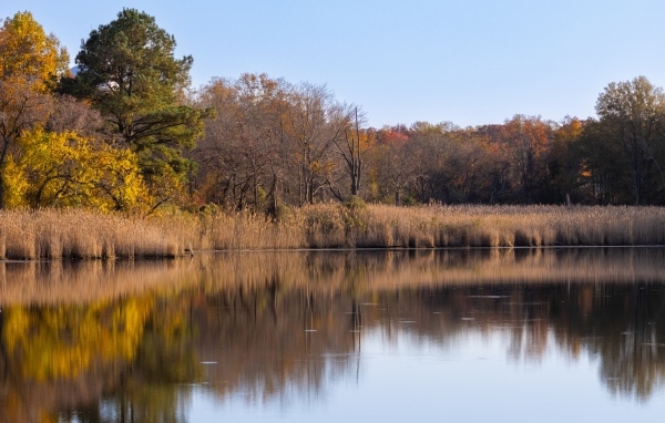 Спокойное озеро в лесу осенью 