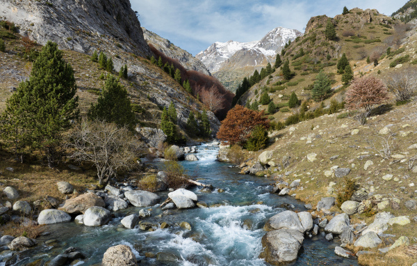 Быстрая река в горном ущелье 