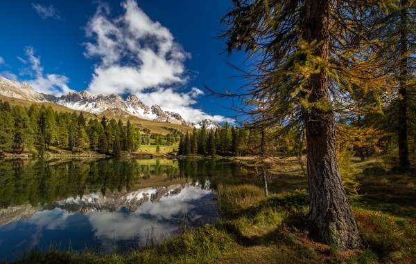 Озеро в горах с высокими елями под голубым небом