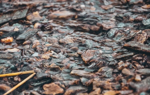 Мелкая река с камнями