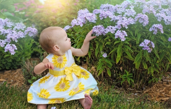 Маленькая девочка в платье сидит у цветов флокса