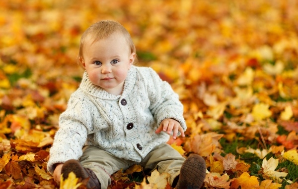 Маленький ребенок сидит на опавших осенних листьях