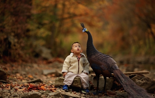 Мальчик с павлином в парке