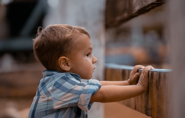 Любопытный мальчик в рубашке