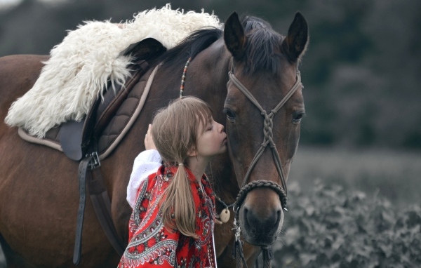 Девочка с большим коричневым конем