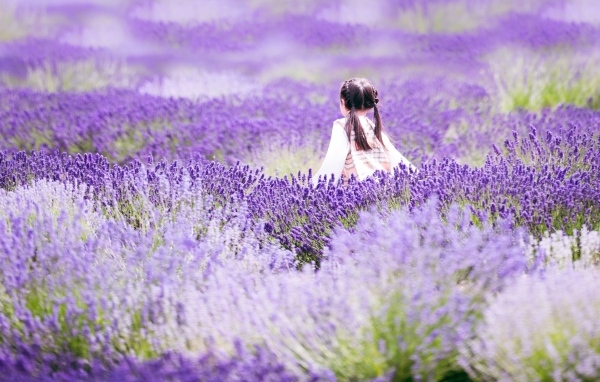 Маленькая девочка гуляет по лавандовому полю