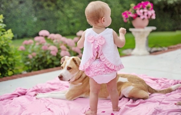 Маленькая девочка с собакой на розовом покрывале