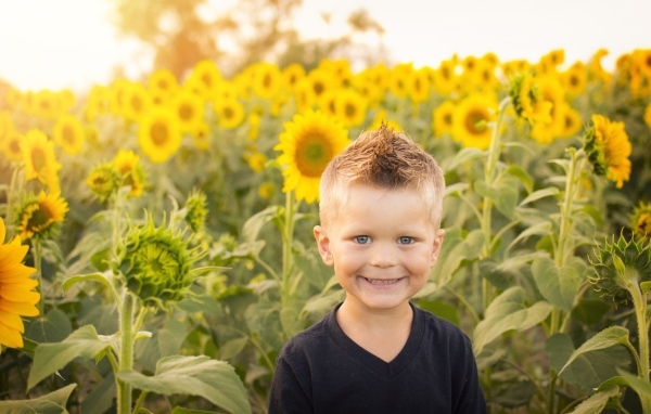 Улыбающийся маленький мальчик на поле с подсолнухами