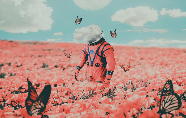 Астронавт на поле с красными маками и бабочками