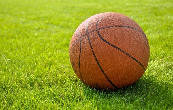 Коричневый кожаный баскетбольный мяч на зеленой траве
