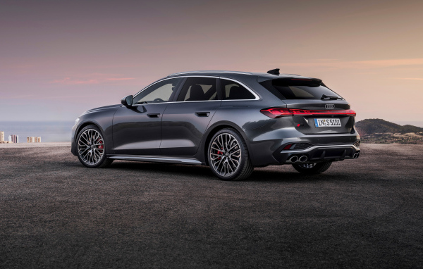 Вид сбоку на серый автомобиль Audi S5 Avant TFSI quattro 2024 года