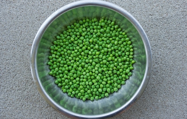 Зеленый горошек в жестяной миске на столе