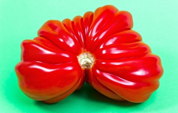 Большой спелый красный томат на зеленом фоне