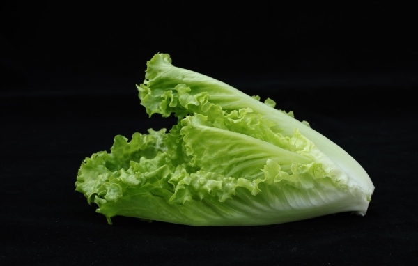 Салат латук на черном фоне