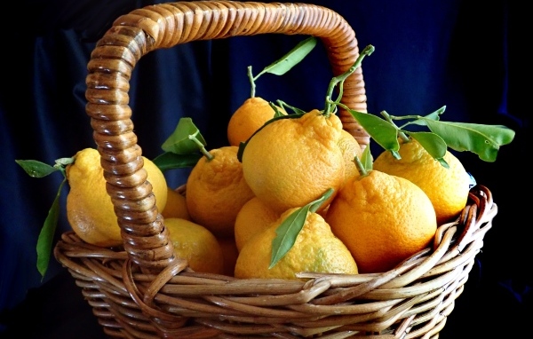 Корзина крупных желтых лимонов на столе