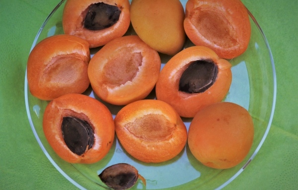 Абрикосы половинками на тарелке