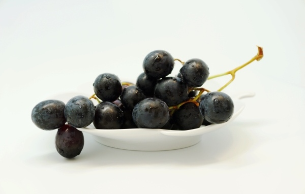 Гроздь синего винограда в тарелке на белом фоне