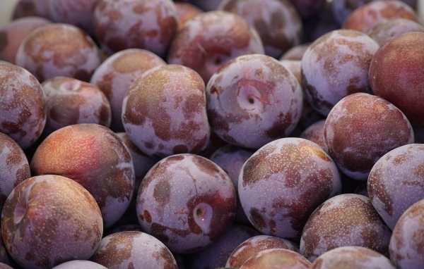 Много розовых слив крупным планом