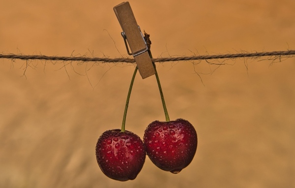 Две мокрые черешни с прищепкой на веревке
