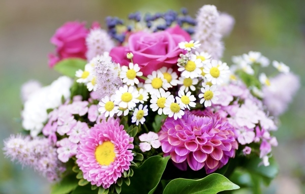 Красивый яркий букет осенних цветов