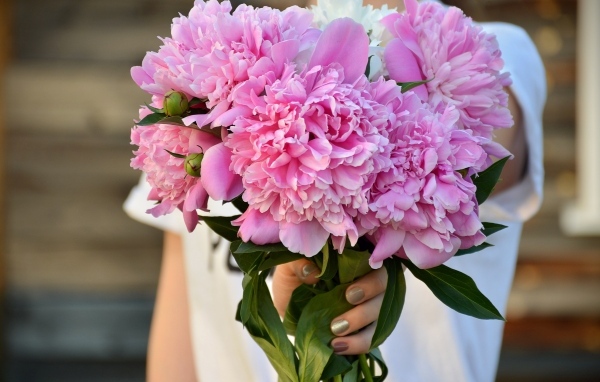 Букет розовых ароматных пионов в руке