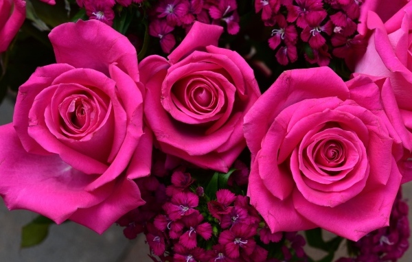 Букет розовых роз с гвоздикой