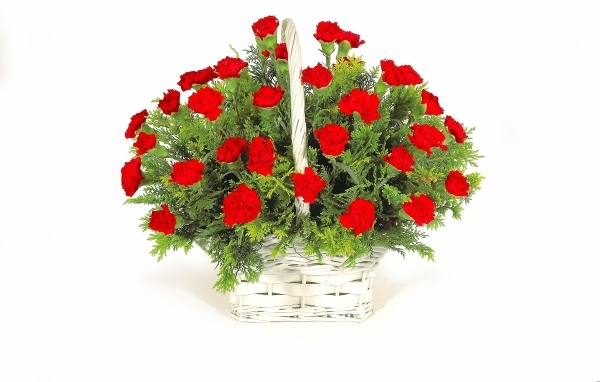 Букет красных гвоздик в корзине на белом фоне