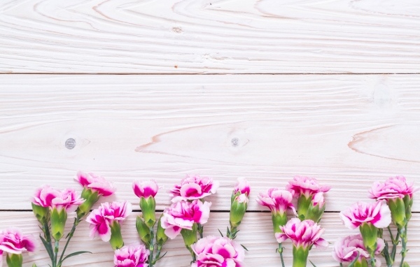 Много розовых цветов гвоздики на деревянном фоне