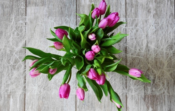 Вид сверху на букет розовых тюльпанов