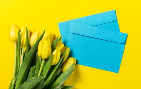Два синих конверта с тюльпанами на желтом фоне
