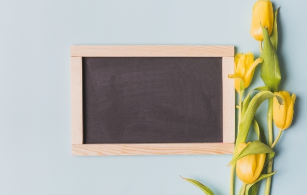 Желтые тюльпаны с рамкой для фона на сером фоне