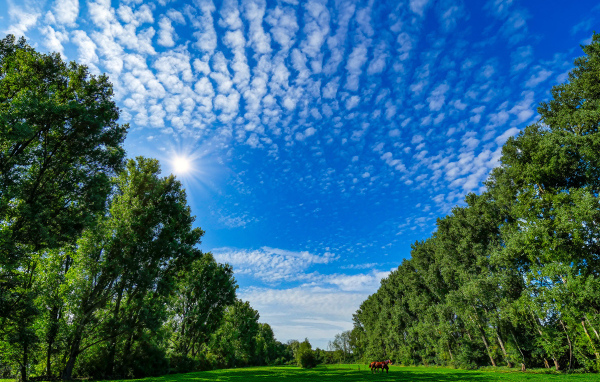 Красивое голубое небо над зеленой поляной