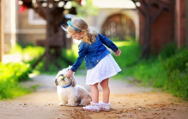 Маленькая девочка гуляет с собакой на улице 