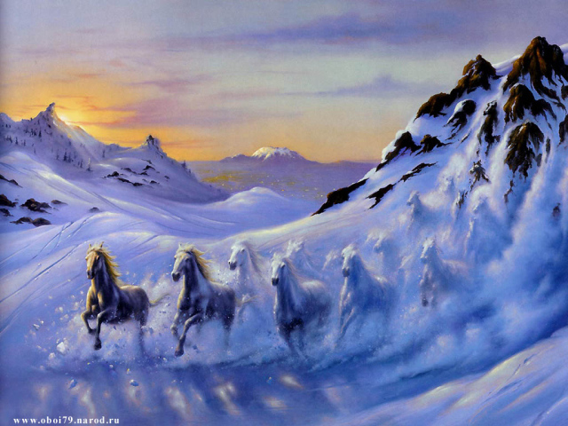 Лошади зимой