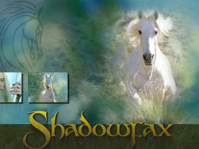 Властелин колец