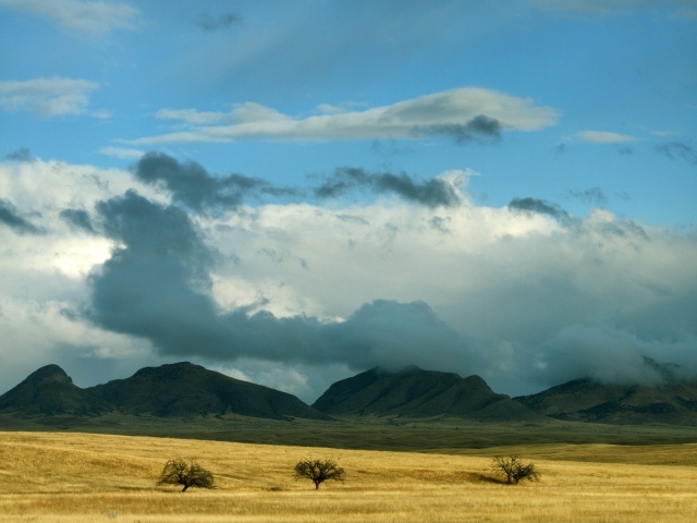 Прояснение Штормовых Облаков / Coronado Национальный Лес / Аризона / США