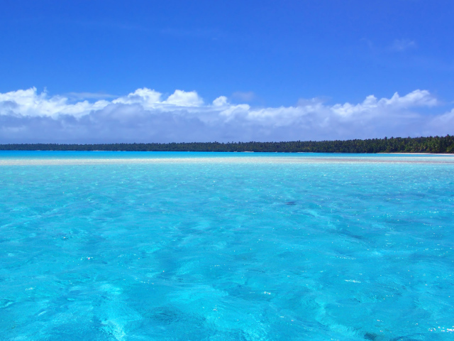 Отдых на берегу моря