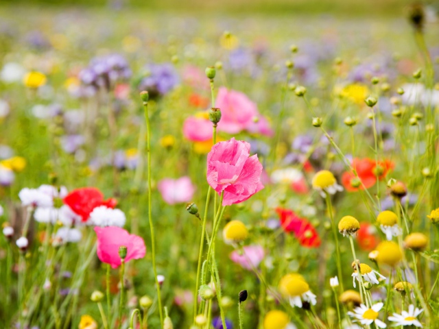 ВД-4 Этап 19. Часть 4.