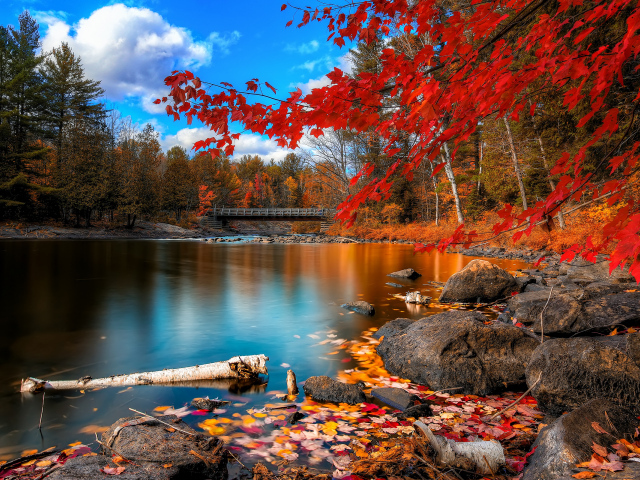 Осенний пейзаж - красные листья