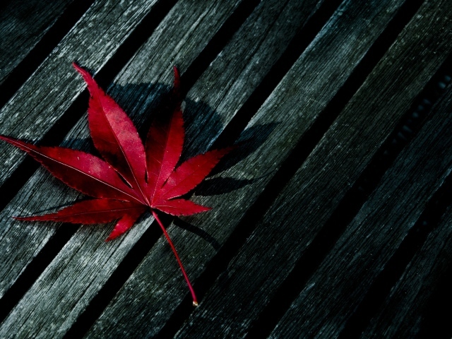 Red leave