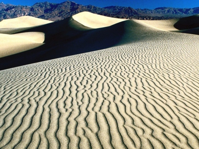 Дюны и барханы в пустыне